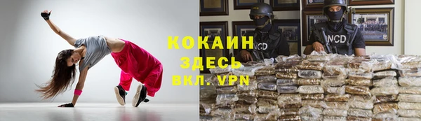 ALPHA PVP Богородицк