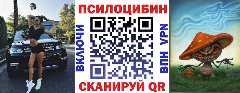 Псилоцибиновые грибы Psilocybe  Майкоп 